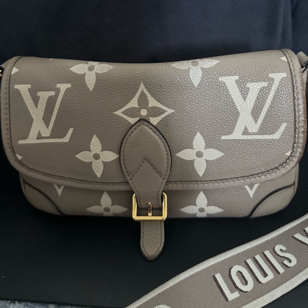 Louis Vuitton Diane Crossbody Bag - Picture 4 of 10
